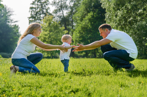Adoption Attorney Palm Harbor